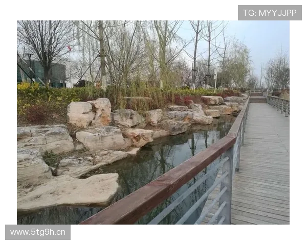 商丘杰出企业家风云录创新精神与时代担当的典范人物志